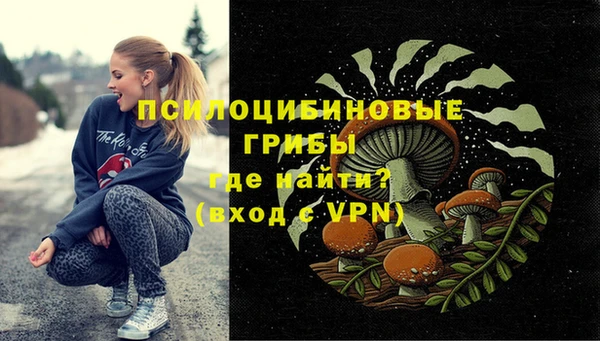 первитин Алексеевка